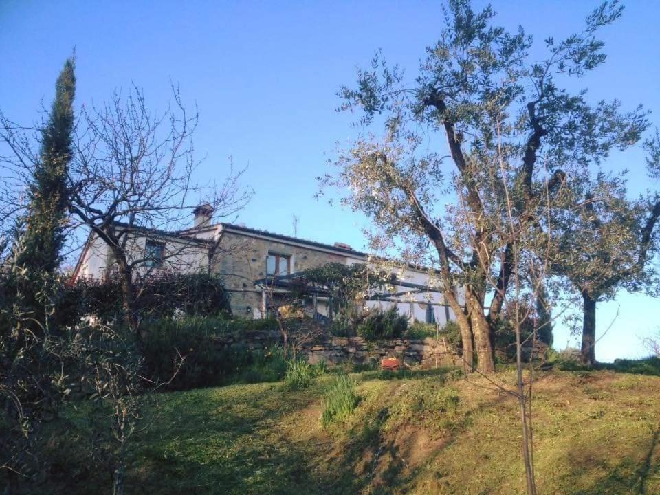 Agriturismo Menghino Nievole ภายนอก รูปภาพ
